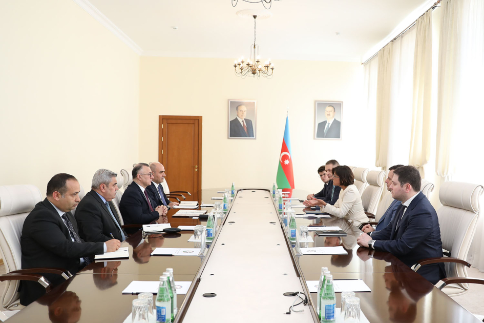 Səhiyyə Nazirliyində “GE Healthcare” şirkətinin regional direktoru ilə görüş olub